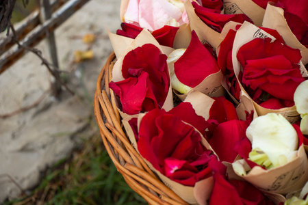 Rose leaves for wedding bugの写真素材