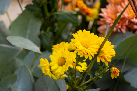 Autumn flowers bad for party decorationsの写真素材