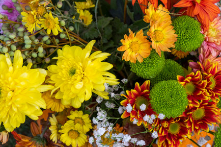 Autumn flowers bed for party and wedding decorationsの写真素材