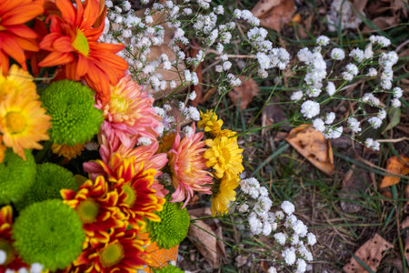 Autumn flowers bed for party and wedding decorationsの写真素材