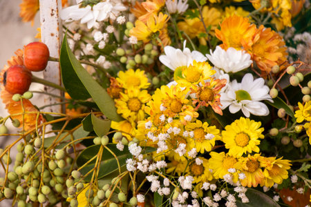 Autumn flowers bed for party and wedding decorationsの写真素材