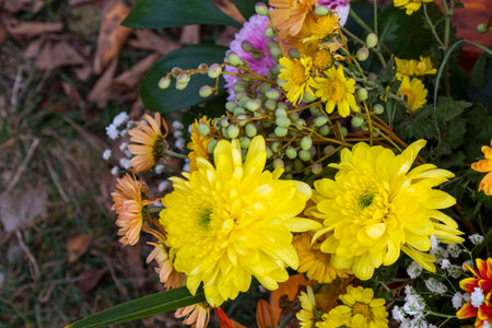 Autumn flowers bed for party and wedding decorations