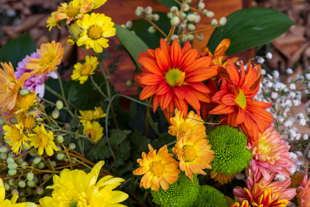 Autumn flowers bed for party and wedding decorationsの写真素材
