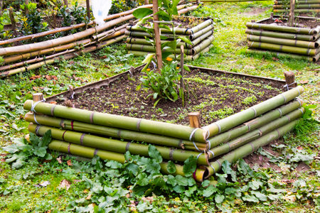 Bamboo decoration garden with citrusesの写真素材