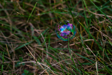 Soap bubbles in yard, colorful bubblesの写真素材
