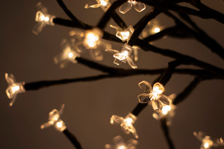 Flower head light close-up, beautiful lamp backgroundの写真素材