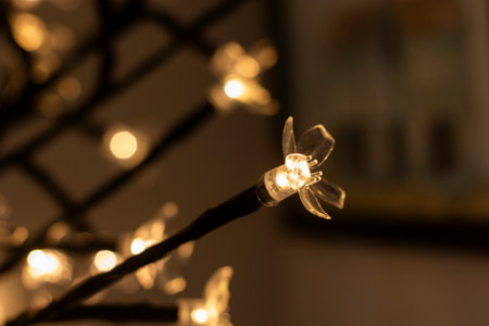 Flower head light close-up, beautiful lamp backgroundの写真素材