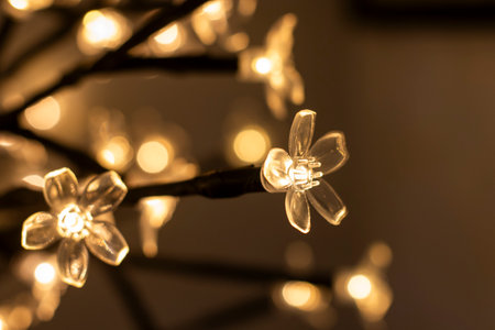 Flower head light close-up, beautiful lamp backgroundの写真素材