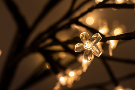 Flower head light close-up, beautiful lamp backgroundの写真素材