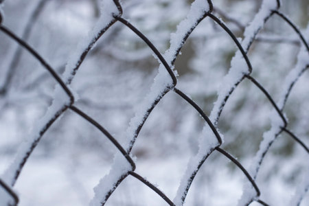 snow on the metal fenceの写真素材