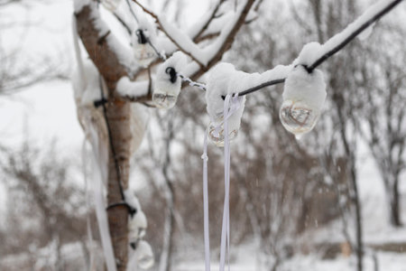 snowの写真素材