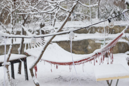 snowの写真素材