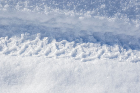 snow in the yard, winterの写真素材