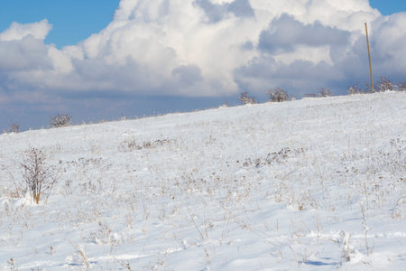 snow in the yardの写真素材