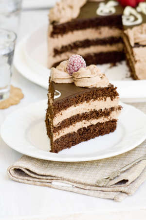 A piece of chocolate cake on a white plate