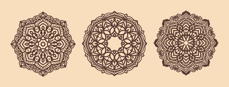 Ethnic Mandala design set beautiful background vectorのイラスト素材