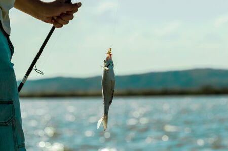 Fishing cord holding the fish.