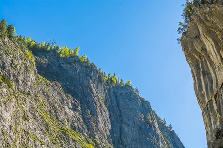 Pine trees on mountain rocks in Cheile Bicaz, Transylvania, Romaniaの写真素材