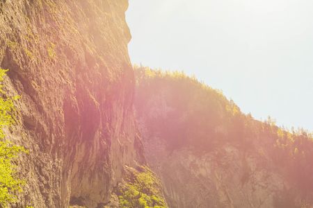 Pine trees on mountain rocks with sunshine in Cheile Bicaz, Transylvania, Romaniaの写真素材