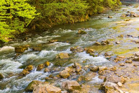 Mountain stream with stones in forest - Cheile Bicazului, Transylvania, Romaniaの写真素材