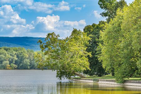 Lakeside landscape with beautiful trees and mountains in the sunの写真素材