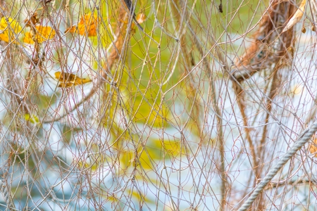 Fishing net texture. Autumn backgrounds