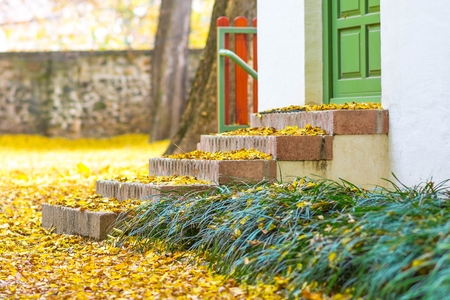 Dry colored leaves fall to the brick staircase in autumn.