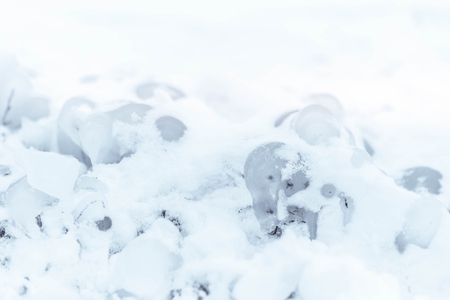 Close up of frozen dry plant with snow and ice crystalsの写真素材