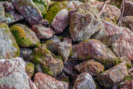 Rocks covered with moss in the sunlightの写真素材