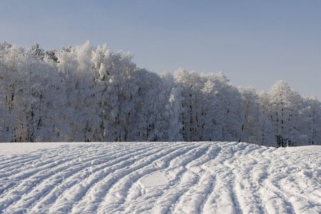 Winter landscapeの写真素材