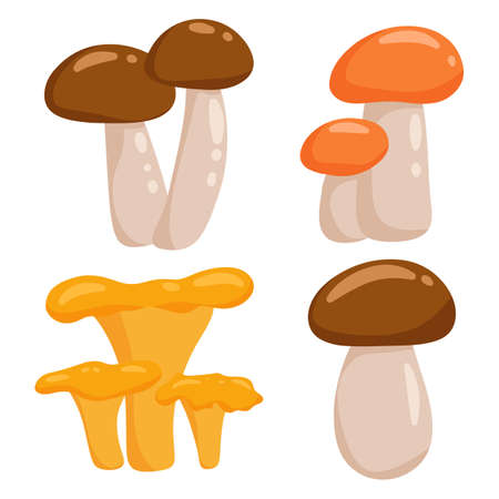 Mushroom set. Element of autumn design, leaves, acorns. Vector illustration in cartoon style, isolated white background.のイラスト素材