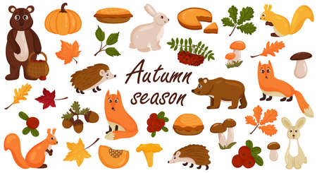 Set of autumn elements, animals, mushrooms, bright colorful autumn leaves. Vector cartoon style. Isolated on a white background.のイラスト素材