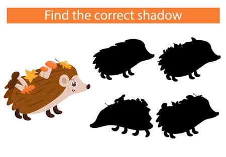Cartoon hedgehog. Find the right shadow. Educational game for children. Vector illustration, cartoon style.のイラスト素材