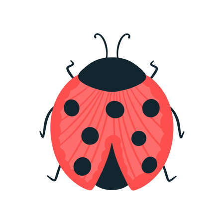 Cute ladybug isolated on white background, flat styleのイラスト素材