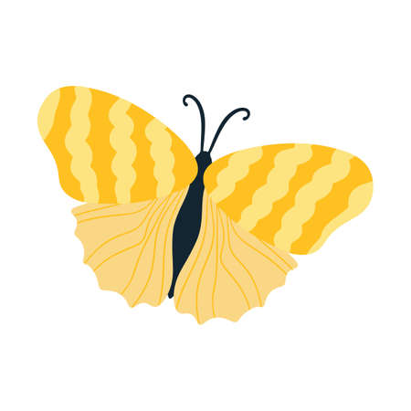 Tropical butterfly moth with multicolored wings and antennae isolated on a white background. Flying moth top view. An exotic spring insect. Vector illustration flat styleのイラスト素材