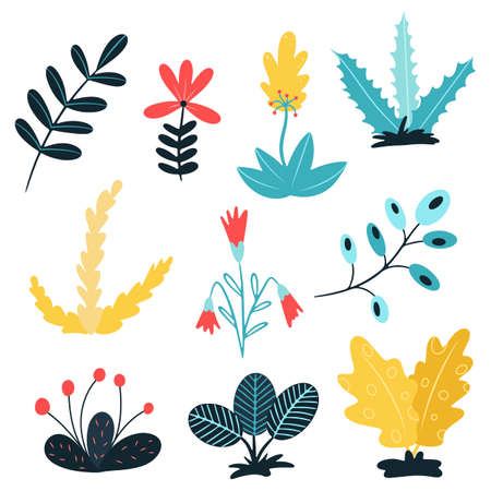 Hand-drawn modern single isolated flowers in Scandinavian style. Decorative element. Vector illustration isolated on white background, flat style.のイラスト素材