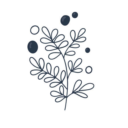Marine plant, coral, seaweed. Underwater reef plant. vector in cartoon style.のイラスト素材