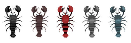 Set of drawings of sea crayfish in different colors. Vector horizontal illustration in cartoon style, isolated on white background.のイラスト素材