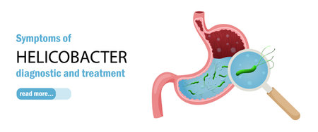 Human stomach and helicobacter pylori web banner template. Vector illustration cartoon styleのイラスト素材