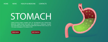 Web banner template with human full stomach. Vector illustration cartoon styleのイラスト素材