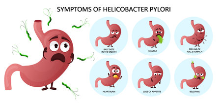 Helicobacter pylori infection symptoms infographic nausea, bad taste in mouth, belching, loss of appetite, feeling of full stomach, heartburn. Cartoon stomach characters diagram. Vector illustrationのイラスト素材