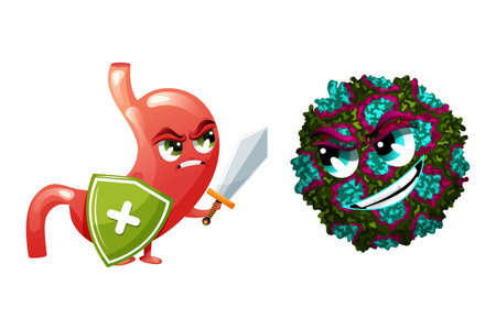 Stomach cartoon character with sword and shield against norovirus. Vector illustration isolated on white backgroundのイラスト素材