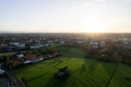 Aerial view of rice fields in the countryside at sunset time.の写真素材