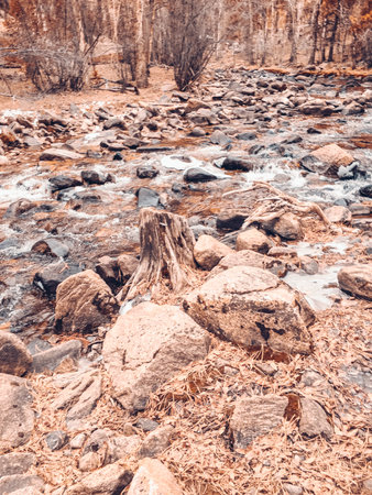 Mountain Stream and rocksの写真素材