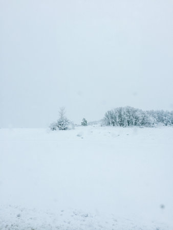 Snow covered land with snow covered treesの写真素材