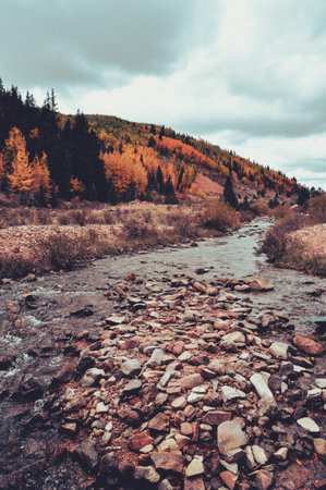 Stream next to mountainの写真素材