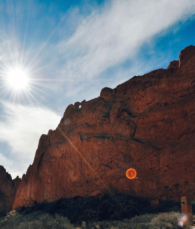 Kissing camels with sun flare