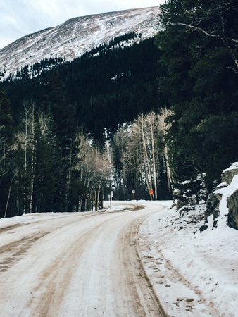 Winter trees and roads in the snowの写真素材