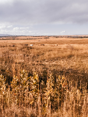 Gold Camp Belt Byway in Coloradoの写真素材