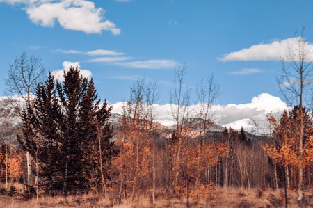 Colorado Rocky Mountainsの写真素材